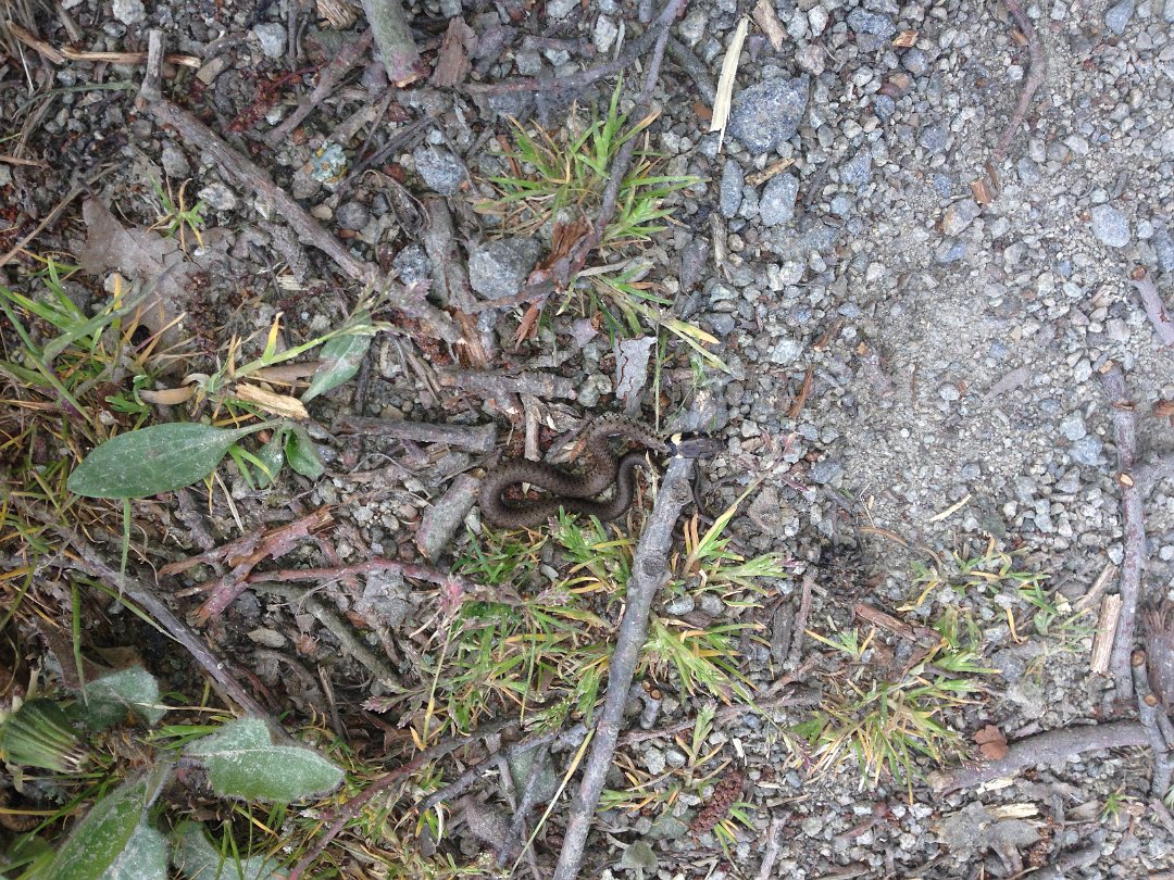 2014-04-26 13.36.11